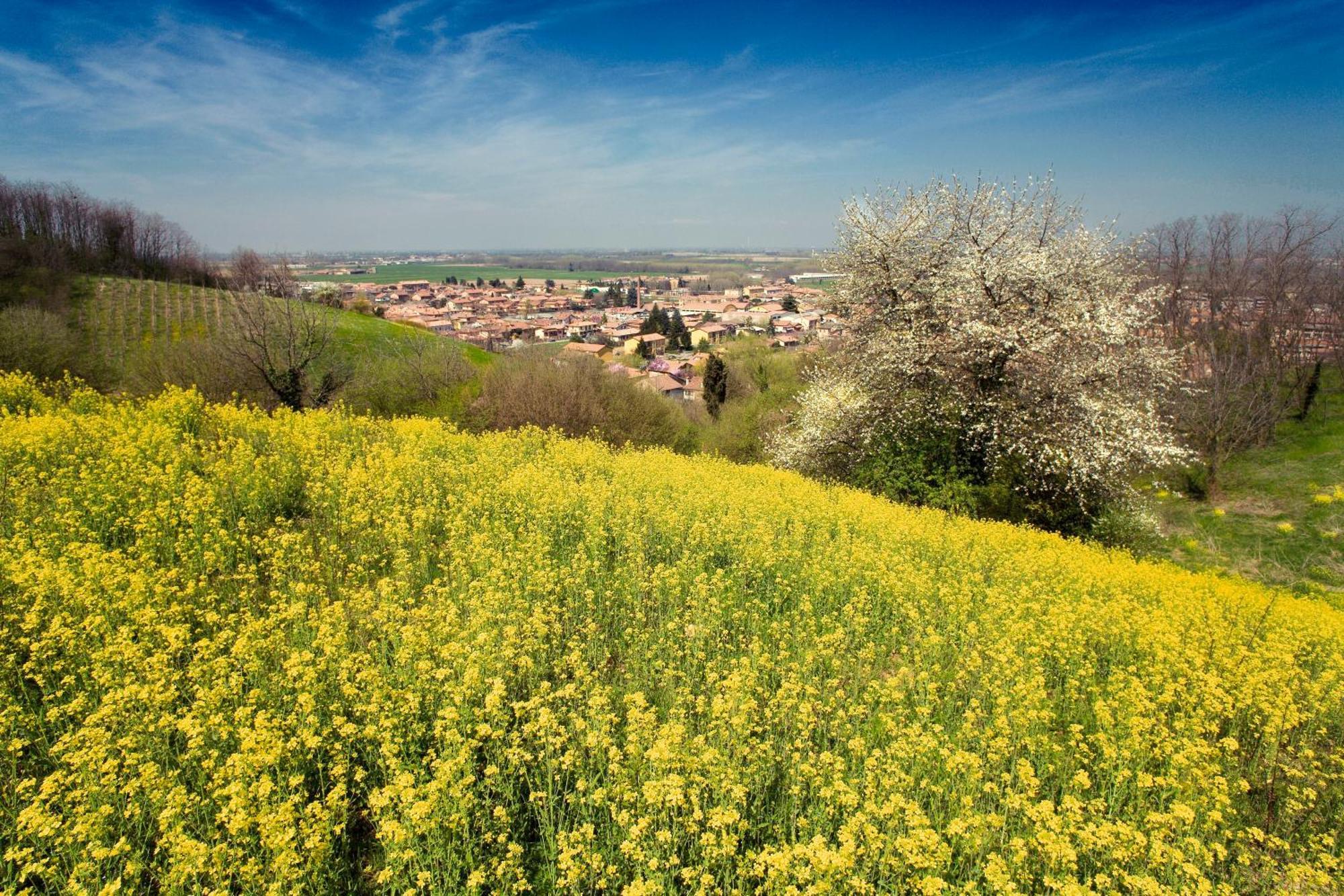Bed & Breakfast Sforza 19 San Colombano al Lambro Exterior photo
