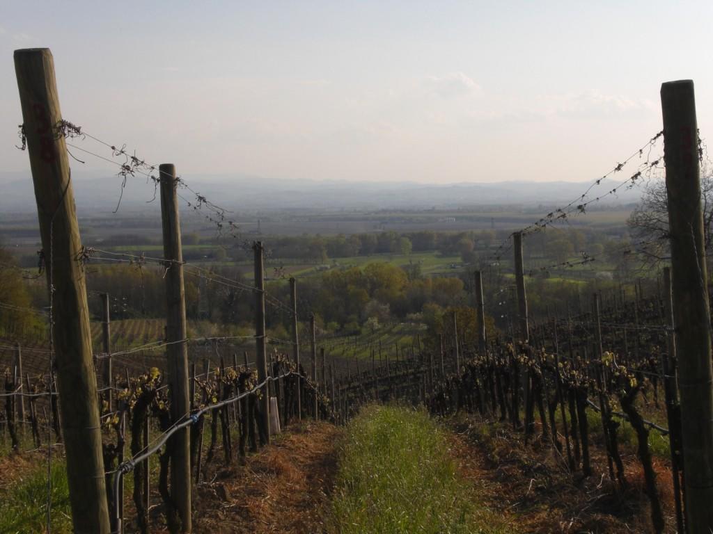 Bed & Breakfast Sforza 19 San Colombano al Lambro Exterior photo
